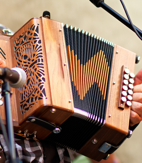 ACCORDEON DIATONIQUE Avec Mireille 