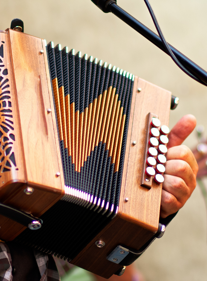 ACCORDEON DIATONIQUE Avec Mireille